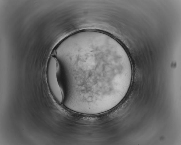 X0000097901513200804041425