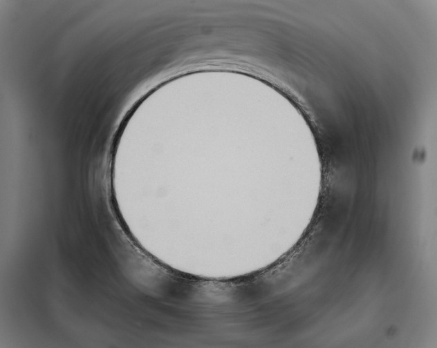 X0000097901514200804041425