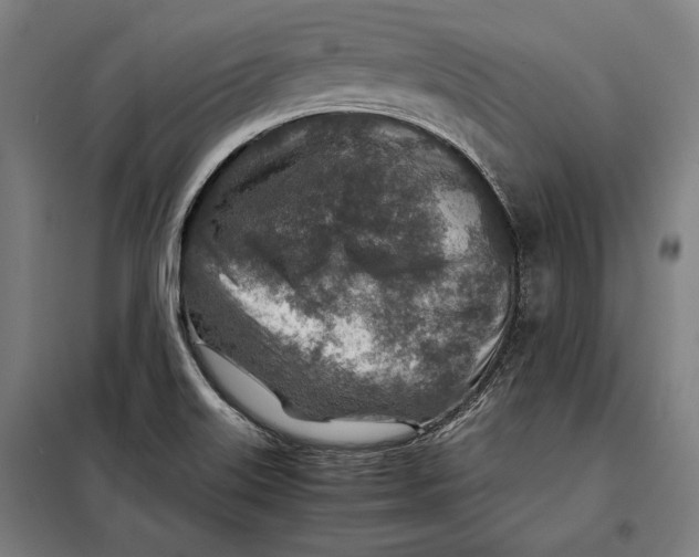 X0000097901515200804041425