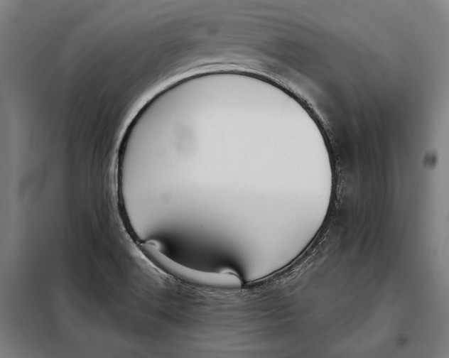 X0000097901516200804041425