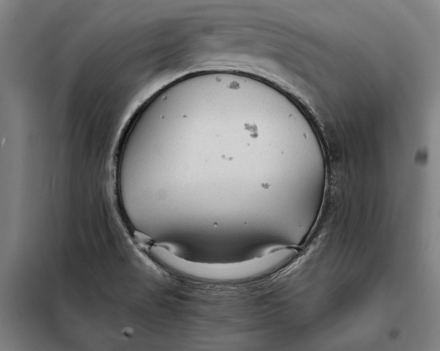 X0000097901517200804041425