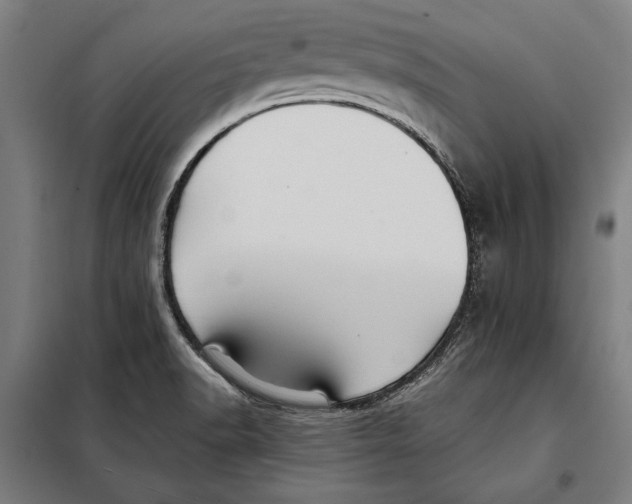 X0000097901518200804041425