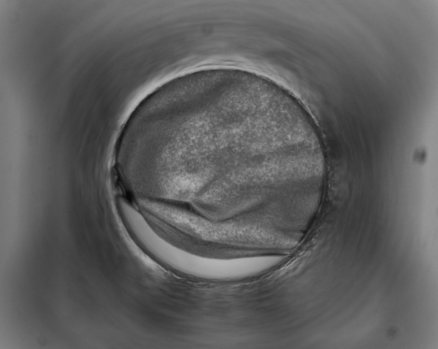 X0000097901519200804041425