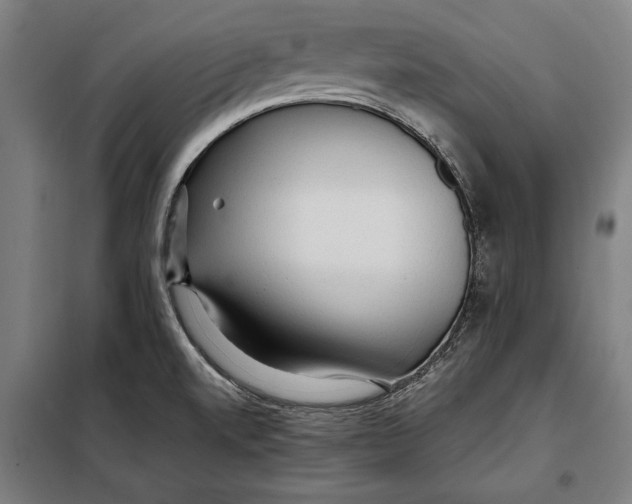 X0000097901520200804041425