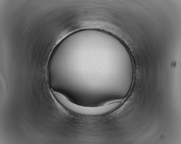 X0000097901521200804041425