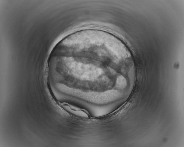 X0000097901522200804041425