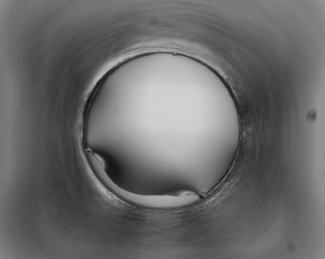 X0000097901523200804041425