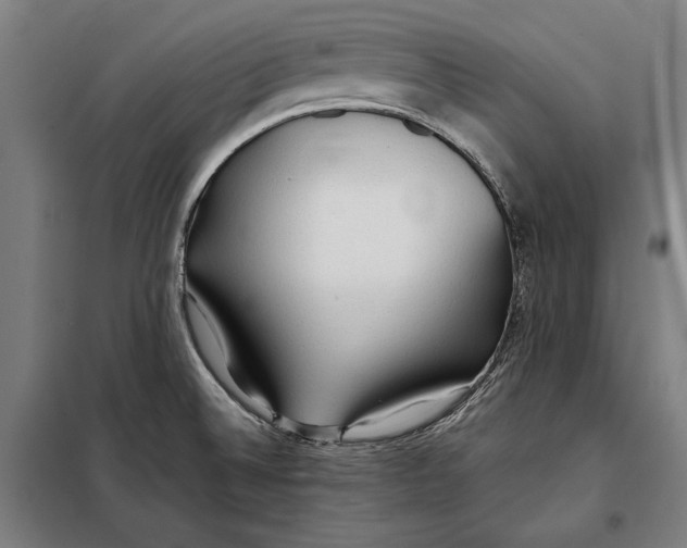 X0000097901524200804041425