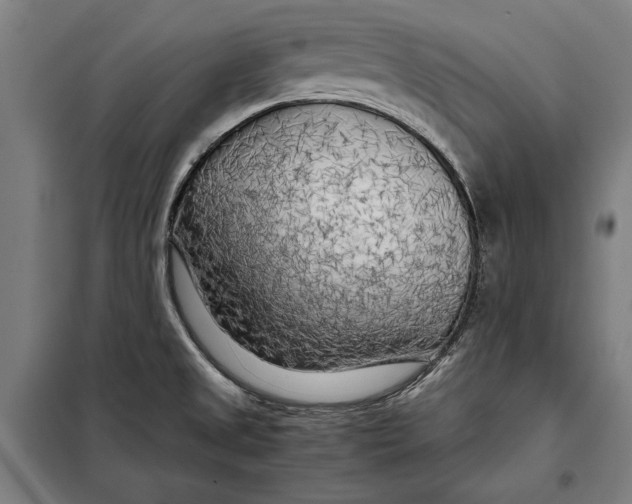 X0000097901525200804041425