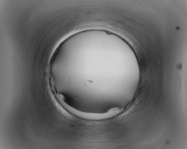 X0000097901526200804041425