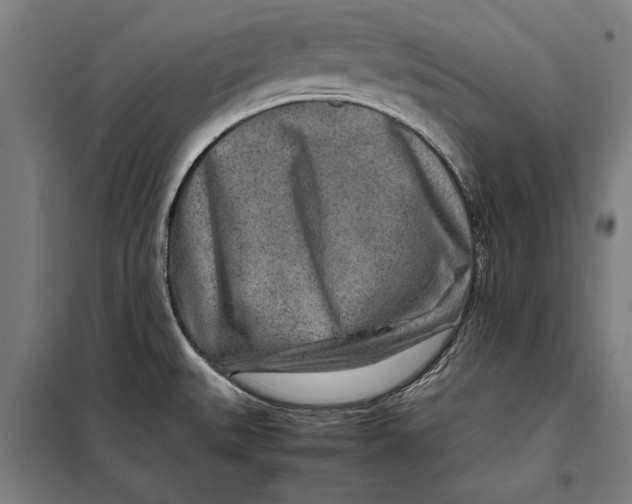 X0000097901527200804041425