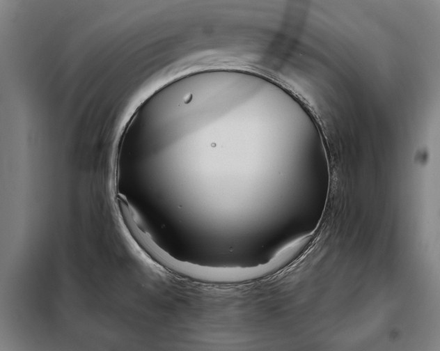 X0000097901528200804041425