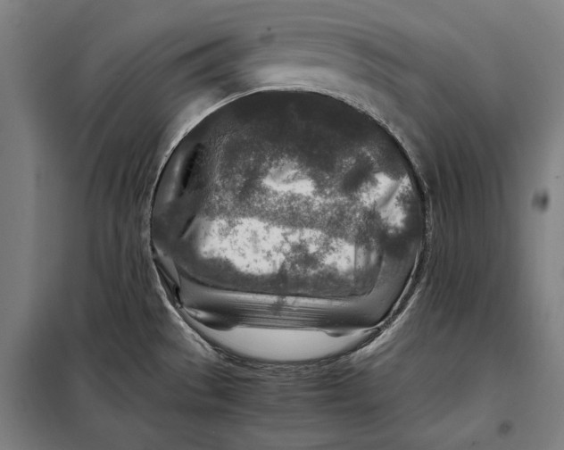 X0000097901529200804041425