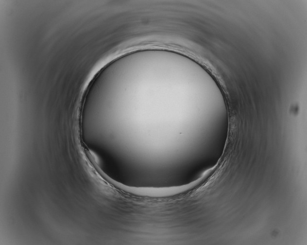 X0000097901530200804041425