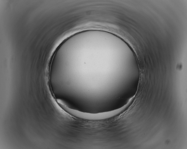 X0000097901531200804041425