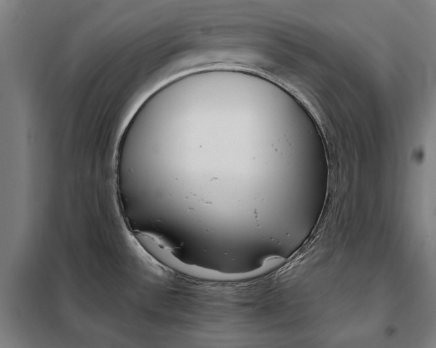 X0000097901532200804041425