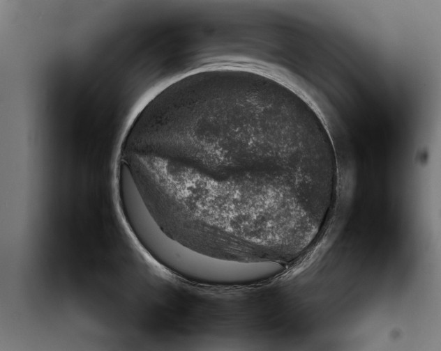 X0000097901533200804041425