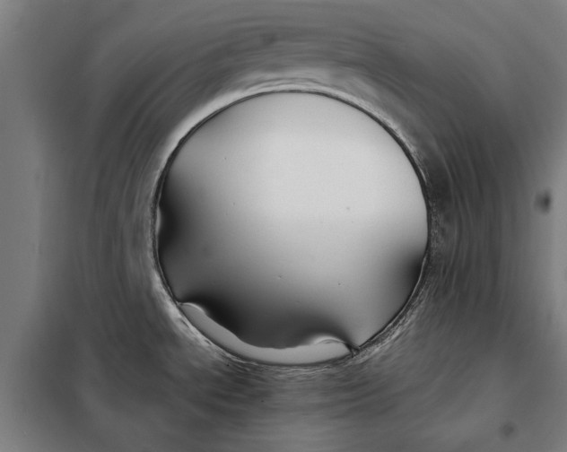 X0000097901534200804041425