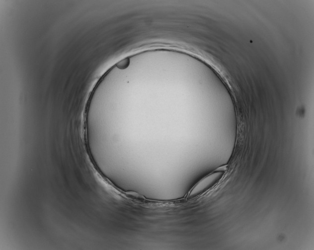 X0000097901535200804041425