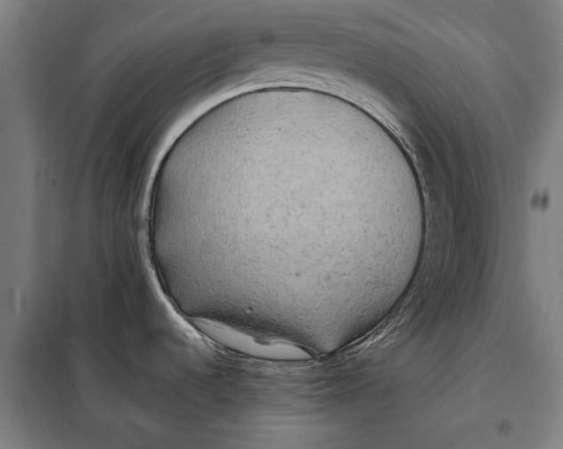 X0000097901536200804041425