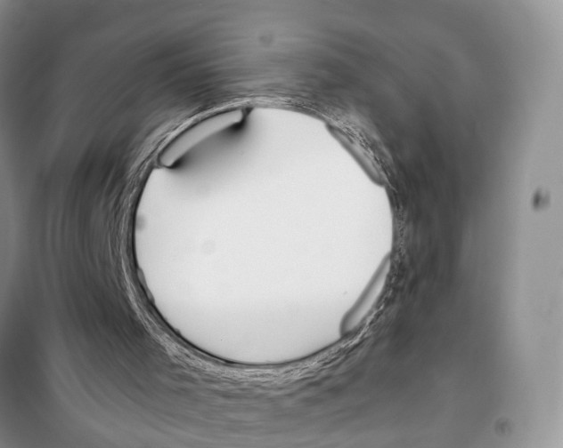 X0000097900001200804111057