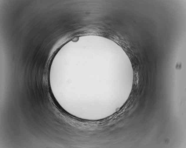 X0000097900004200804111057