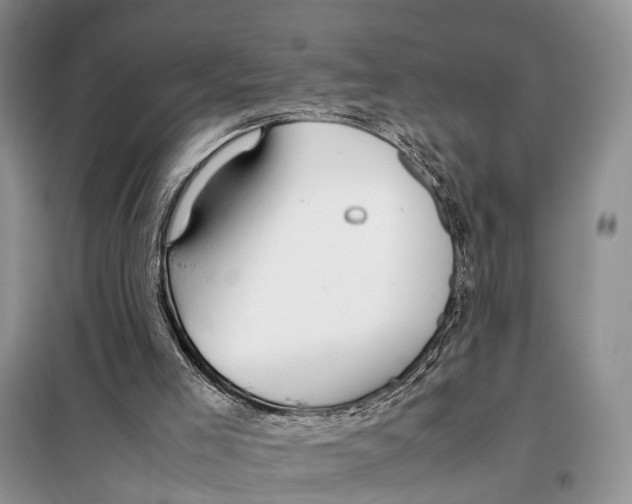 X0000097900005200804111057