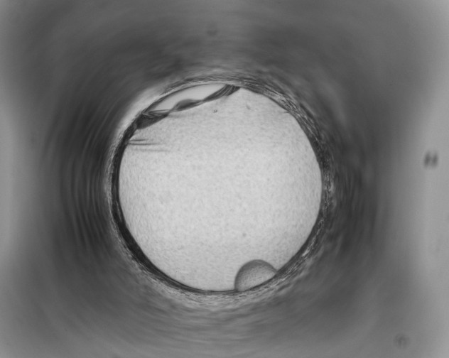 X0000097900006200804111057