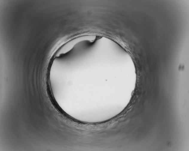 X0000097900007200804111057