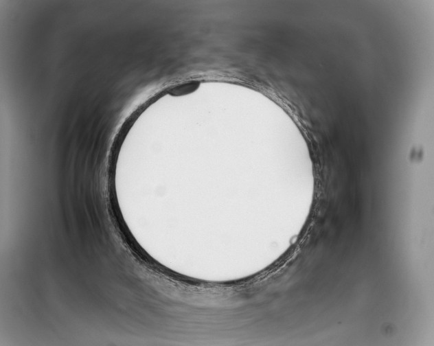 X0000097900008200804111057