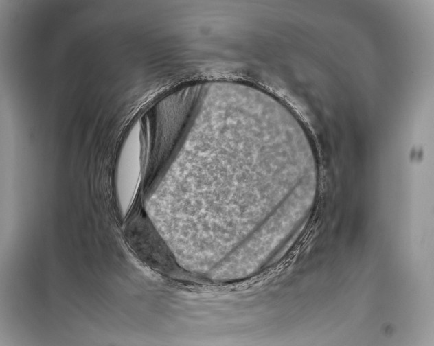 X0000097900009200804111057