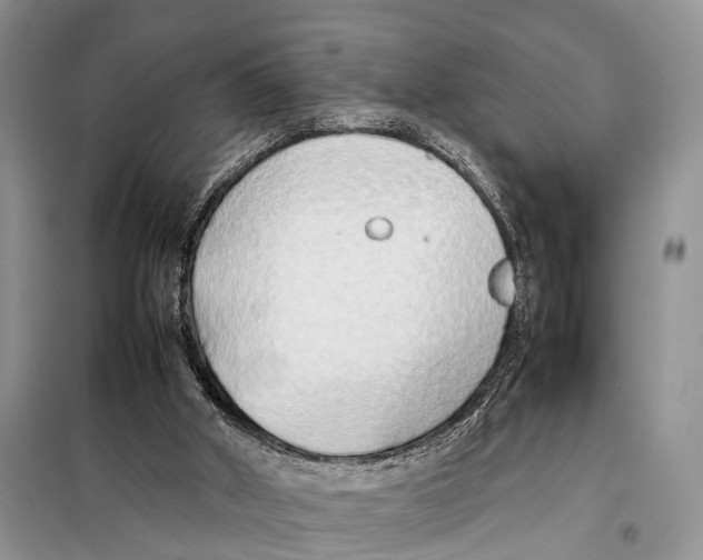 X0000097900010200804111057