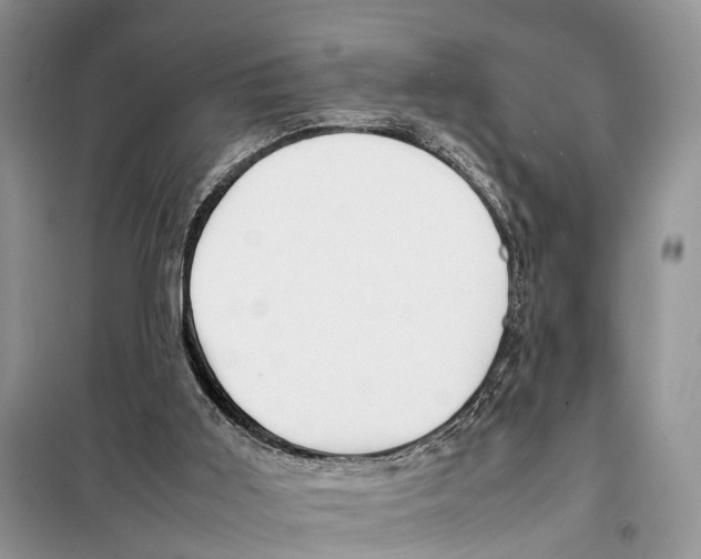 X0000097900011200804111057