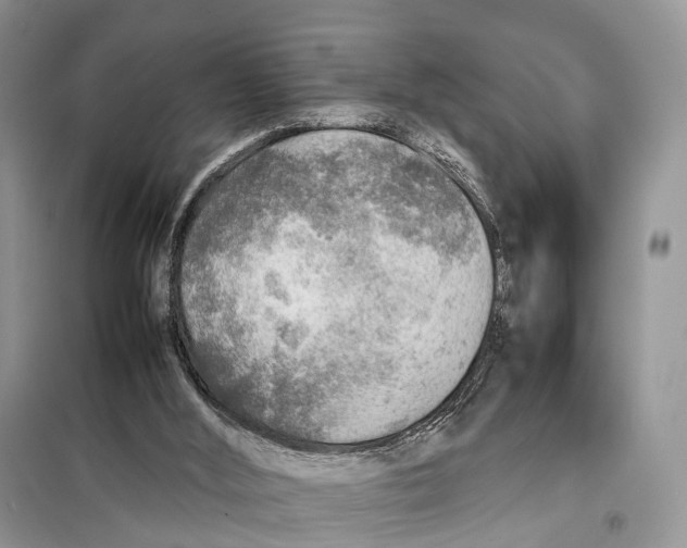 X0000097900012200804111057