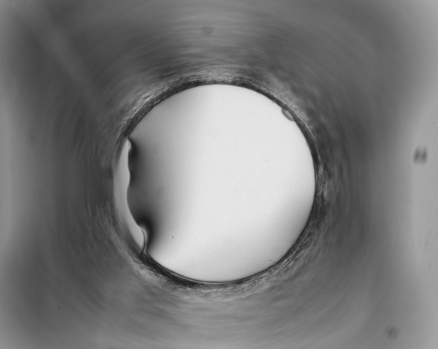 X0000097900013200804111057