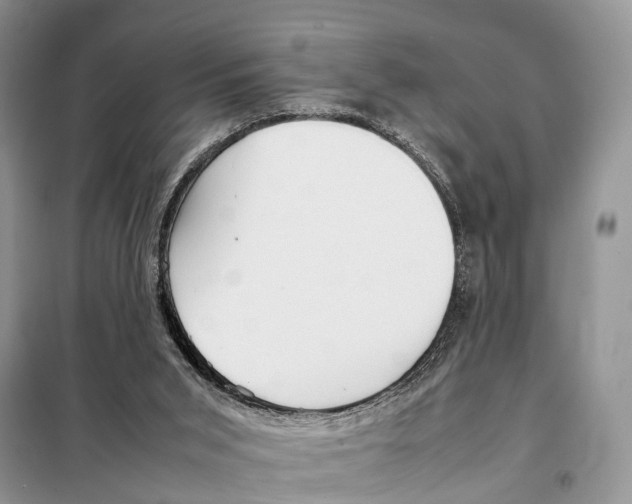 X0000097900015200804111057