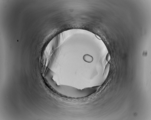 X0000097900019200804111057