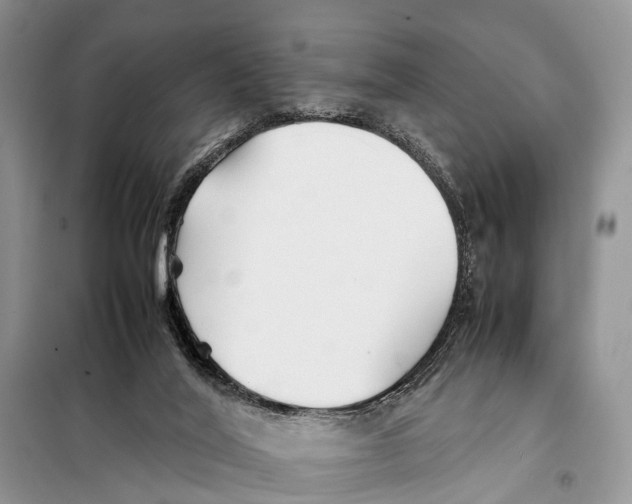 X0000097900020200804111057