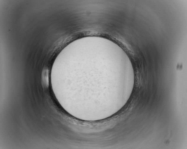 X0000097900022200804111057