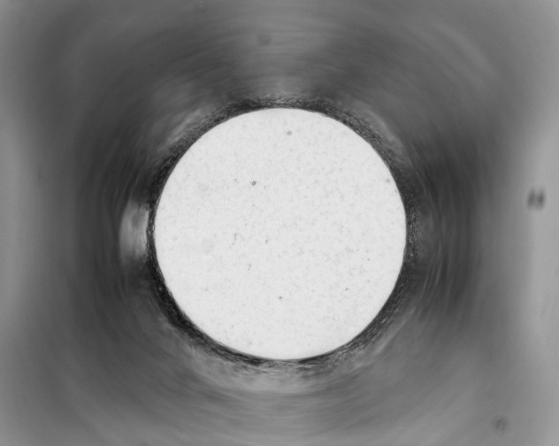 X0000097900024200804111057