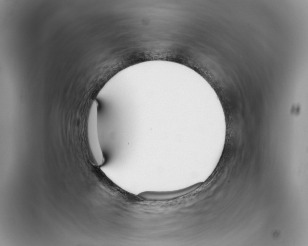 X0000097900025200804111057