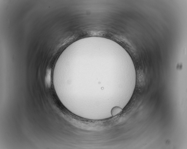 X0000097900028200804111057