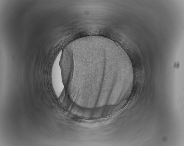 X0000097900029200804111057