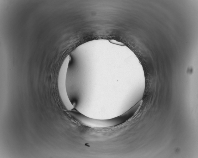 X0000097900033200804111057