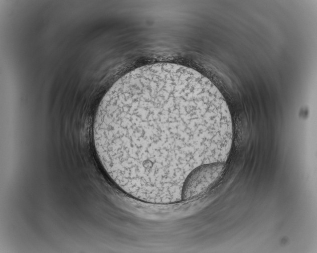 X0000097900034200804111057