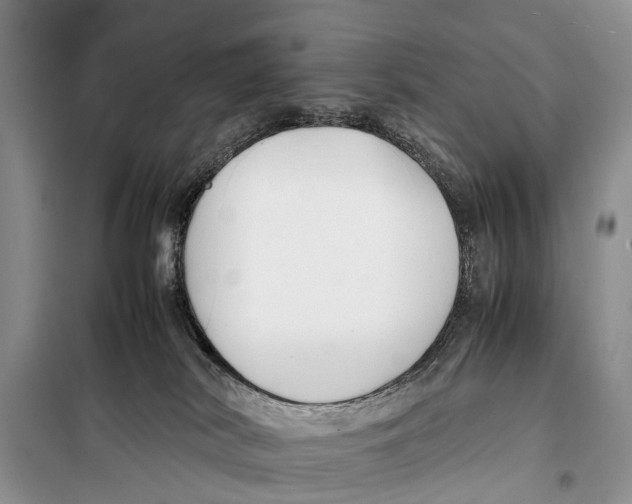 X0000097900038200804111057