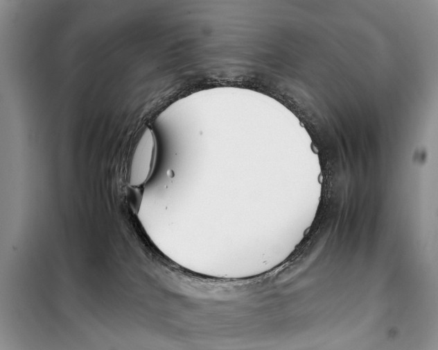 X0000097900040200804111057