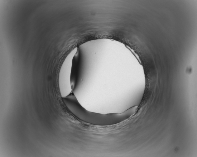 X0000097900041200804111056