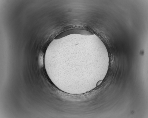 X0000097900042200804111056