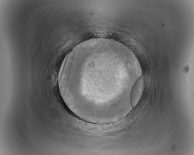 X0000097900043200804111056